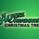Alpine Meadows Tree Farm